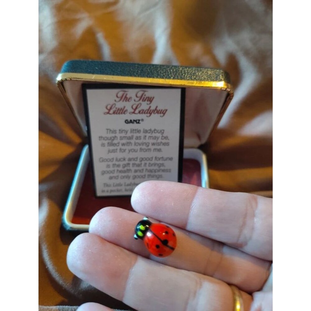 Tiny ladybug - Picture 2 of 2